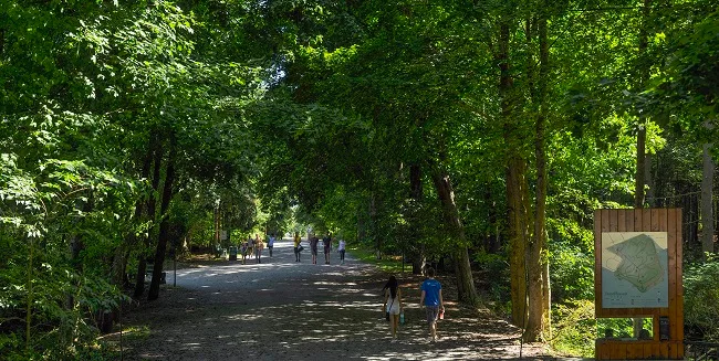 Walkers enjoy a shady trail in Point Pleasant Park